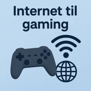 internet til gaming