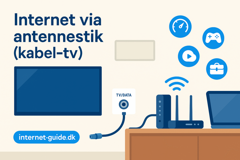 internet via antennestik